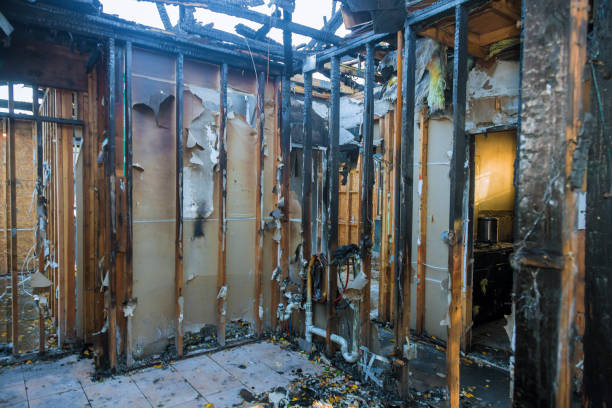 Professional Fire Damage Repair technician working in Shackle Island, TN